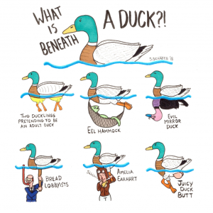 What is beneath a duck?